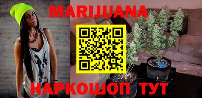 стафф Будённовск