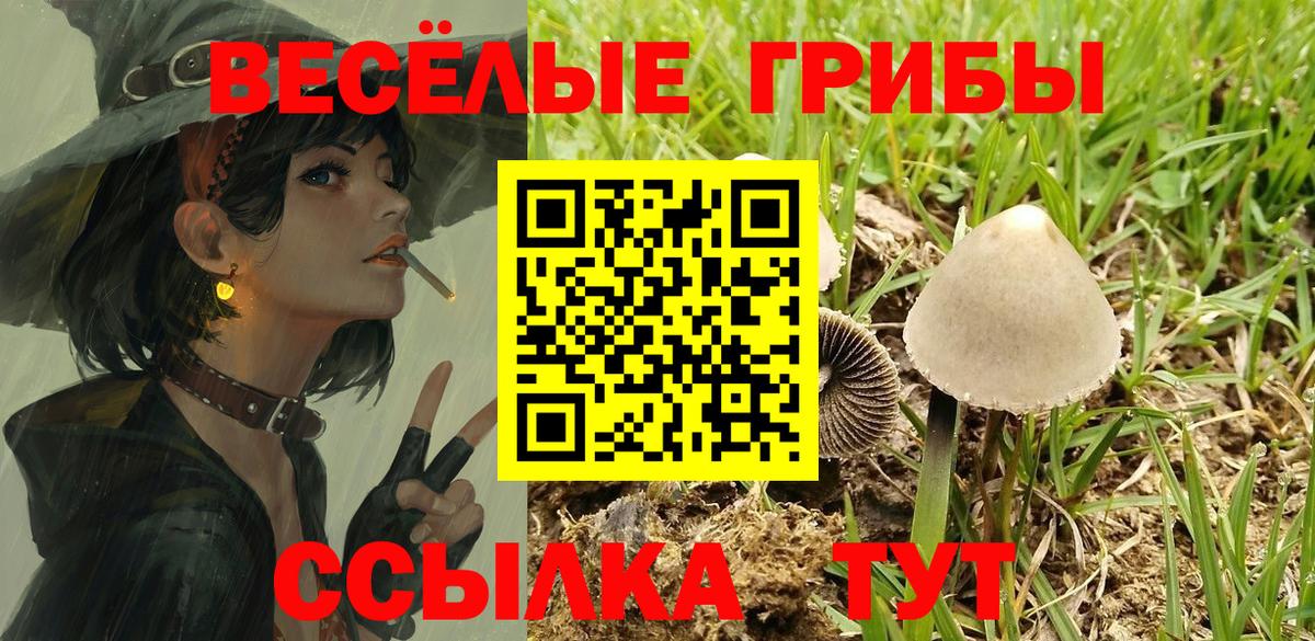 Псилоцибиновые грибы Psilocybe Чебаркуль